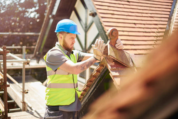 Roof Gutter Cleaning in Arnold, MO